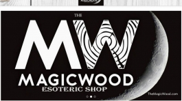 The Magic Wood - Manuel Pieragostini